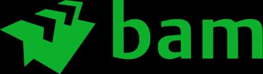 Royal BAM Group Logo